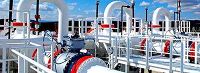 Turkey's Main Natural Gas Distributors (81 Cities)